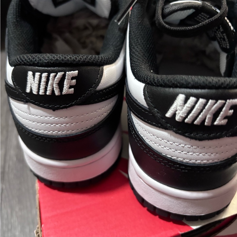 Women’s Low Top Nike Dunks